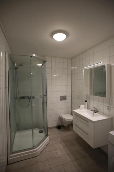 Sentral Leilighet Med 3 Soverom ハーシュタ エクステリア 写真